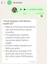 ZeroAudio gallery image