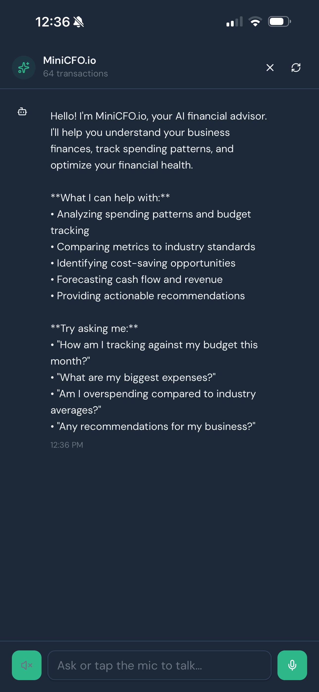 MiniCFO.io gallery image