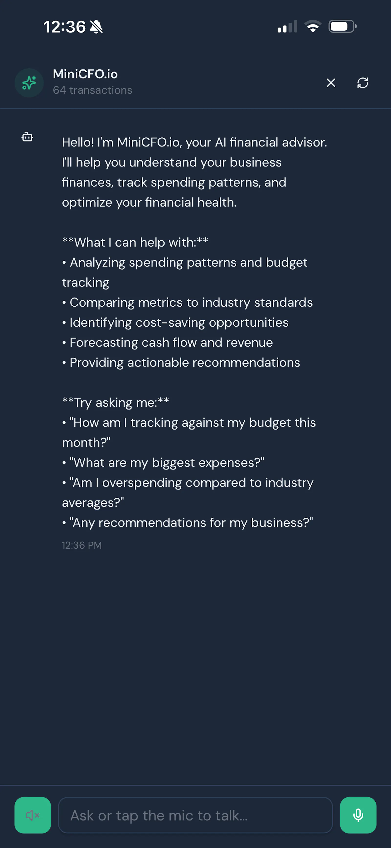 MiniCFO.io screenshot 3
