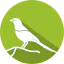 Sandpiper