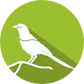 Sandpiper