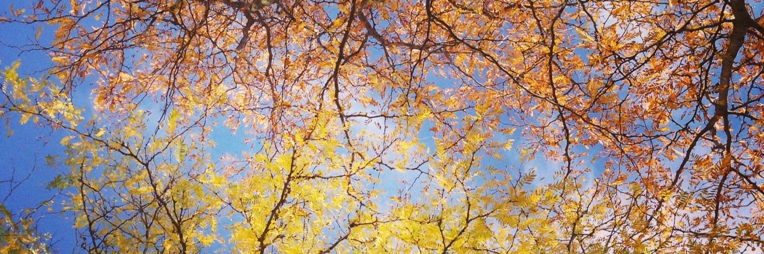 Chase Anderson cover