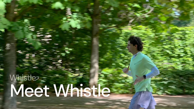 Whistle screenshot 1 (video preview)