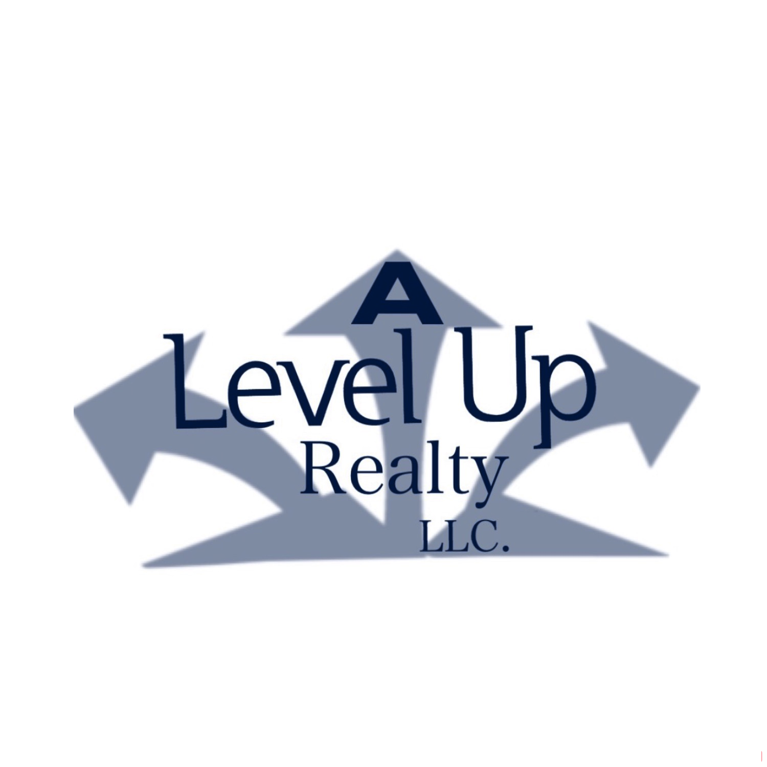 A Level Up Realty gallery image