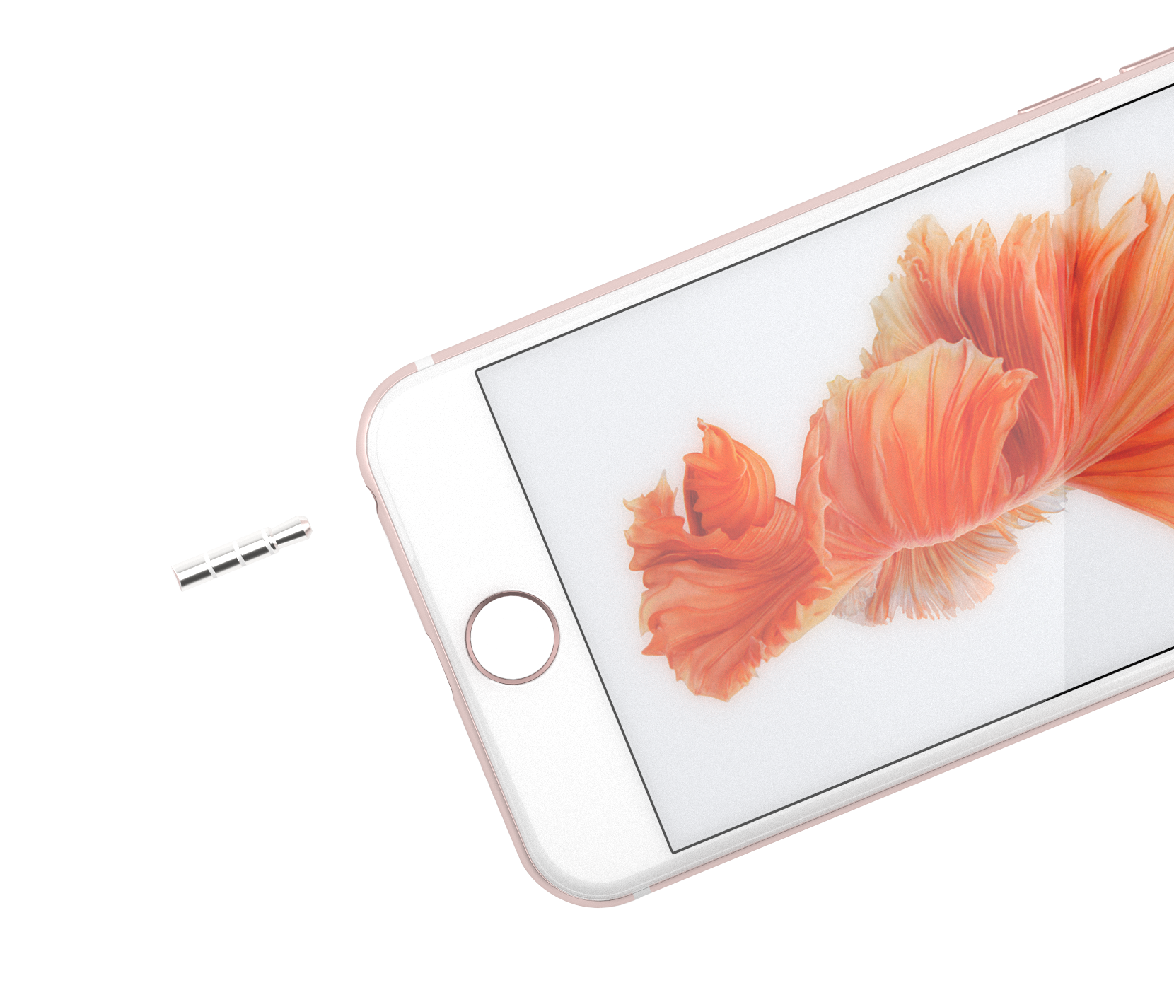 Apple Plug Image