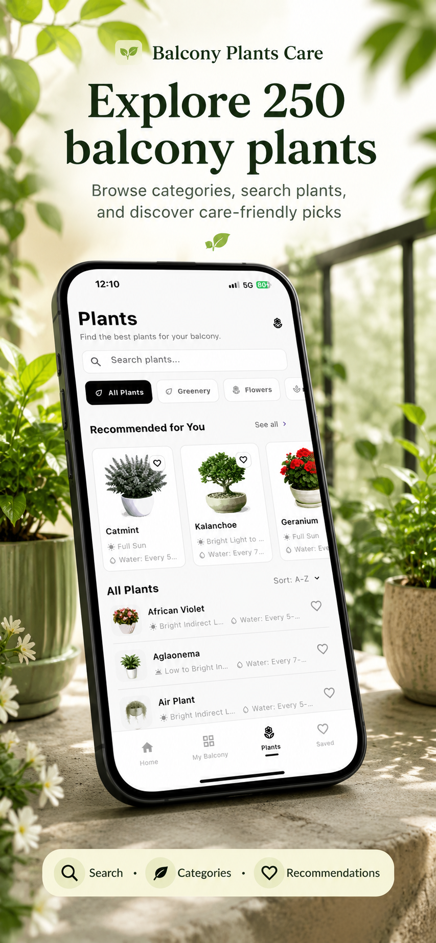 Blacony plants care recomedation  gallery image