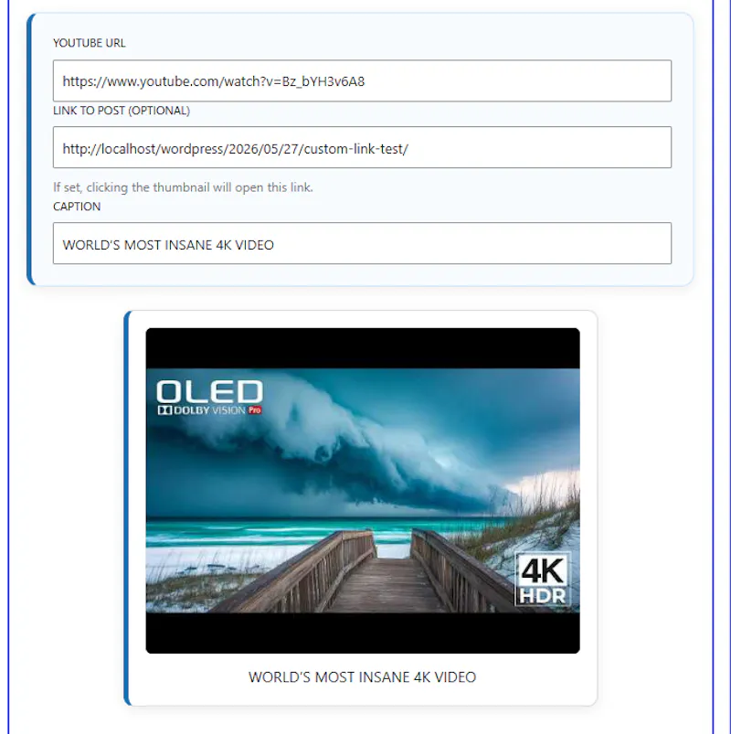 Tubelastica screenshot 2