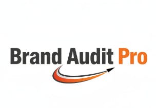 Brand Audit Pro gallery image