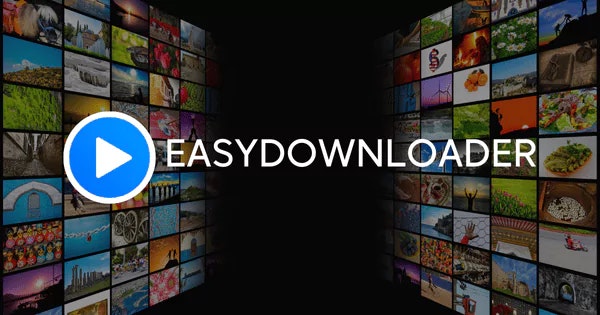 Easydownloader media 2