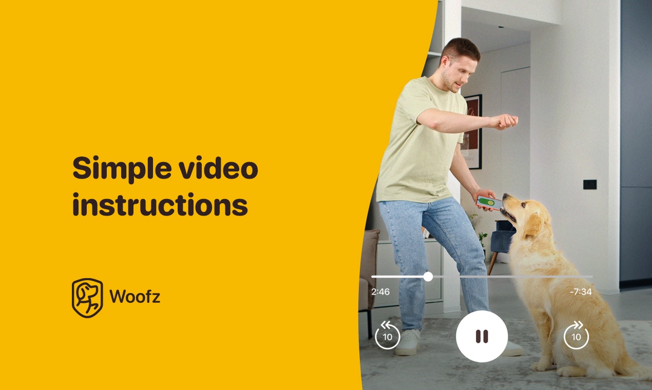WOOFZ media 11