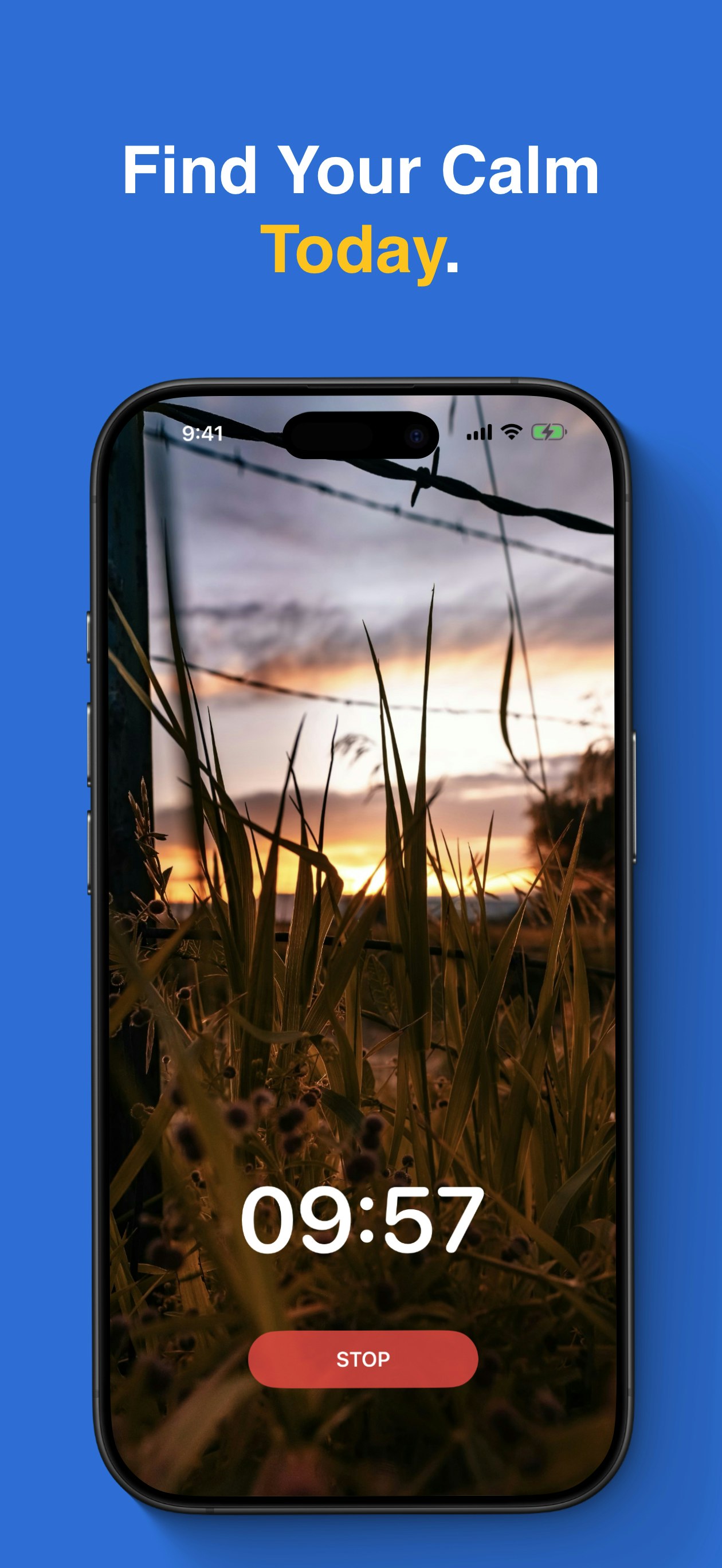 Pure Meditate media 6