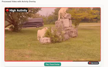 Leo.ai gallery image