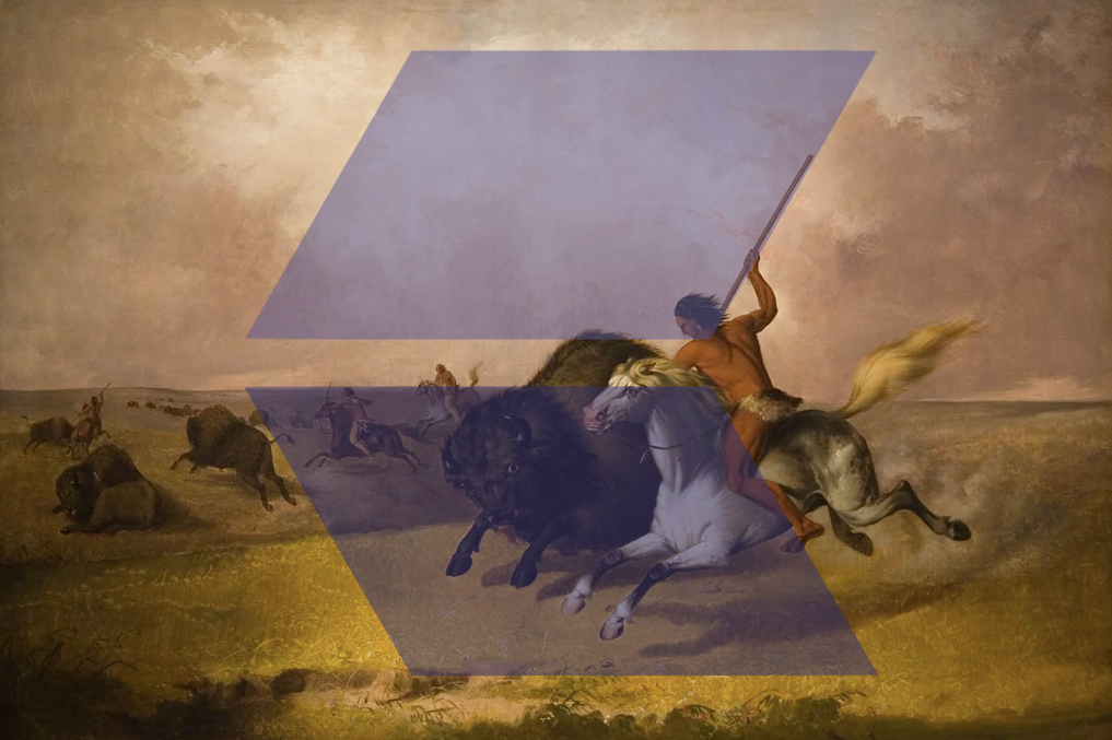 Edu hunt gallery image