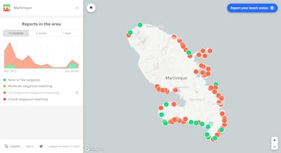 sargassum.watch gallery image