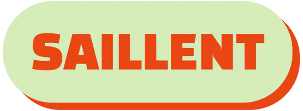 saillent gallery image