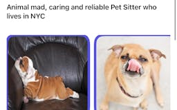 The Pet Sitter iOS App media 2