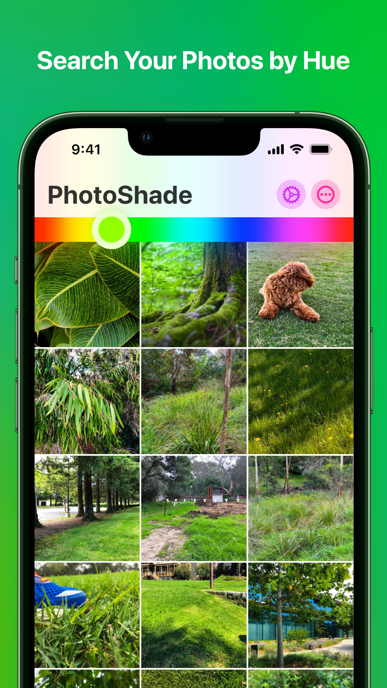 PhotoShade gallery image