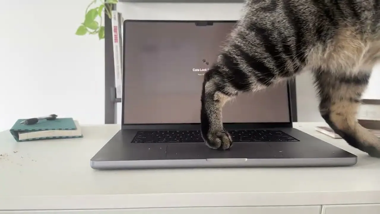 Cats Lock gallery image