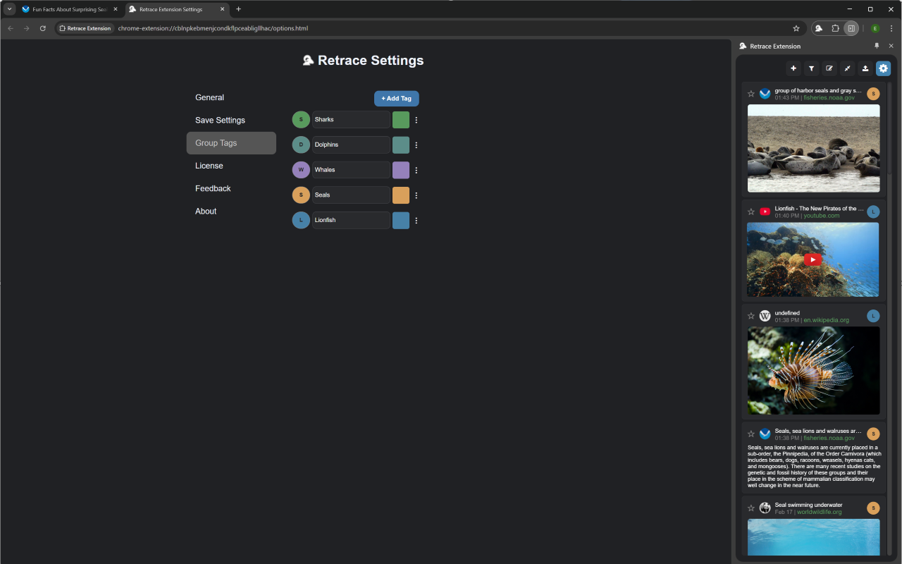 Extension de retrace media 2