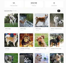 GetFiles gallery image