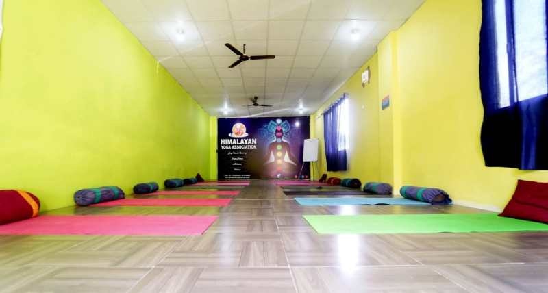 yoga teacher training in rishikesh gallery image