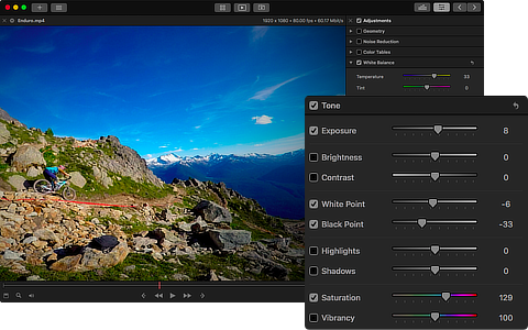 Videoloupe for Mac gallery image