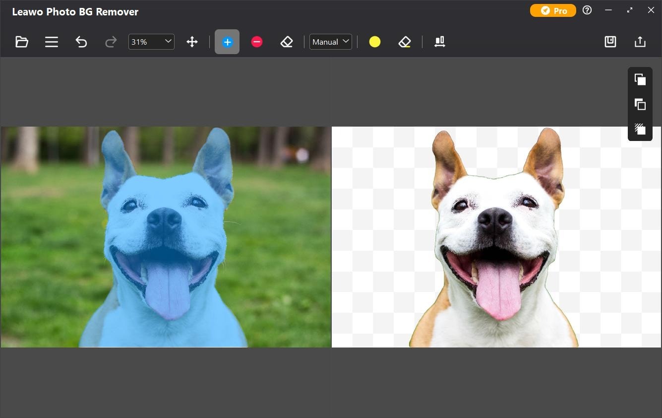 Leawo Photo Bg Remover - Автоматически удалить фоновый фон оптом и изменить его медиа 6