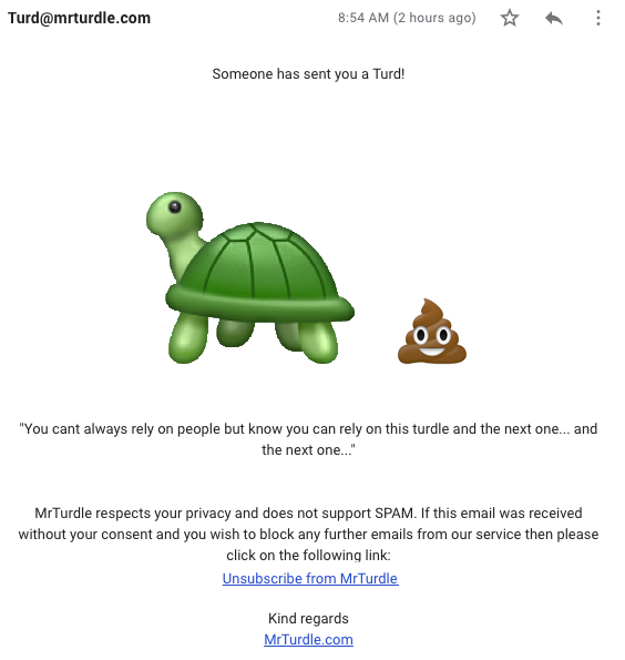 Mr Turdle gallery image