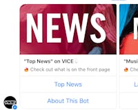 Vice Bot (Unofficial) media 1