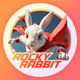 Rocky Rabbit