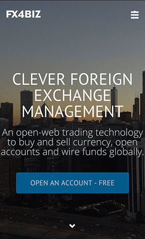 FX4BIZ gallery image