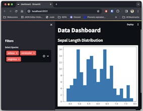 Streamlit for Beginners gallery image