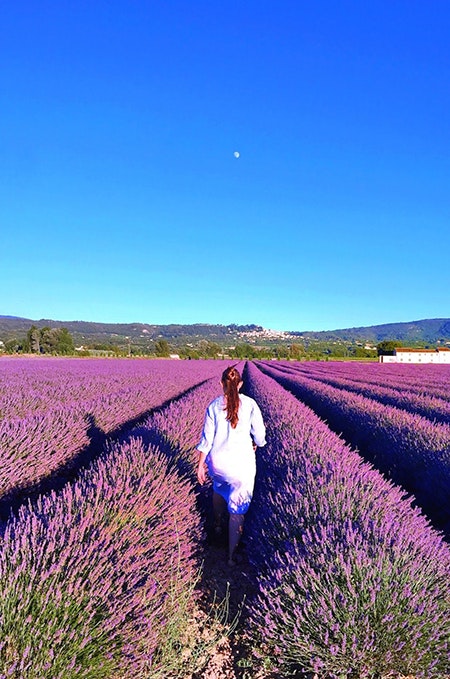 Gastronomad gallery image