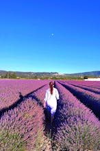 Gastronomad gallery image