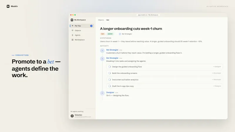 Maskin screenshot 1 (video preview)
