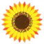 Petals