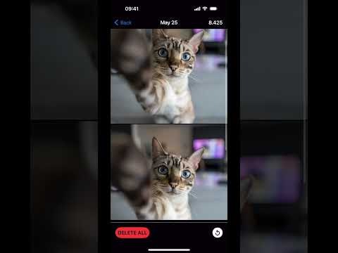 Swipee gallery image