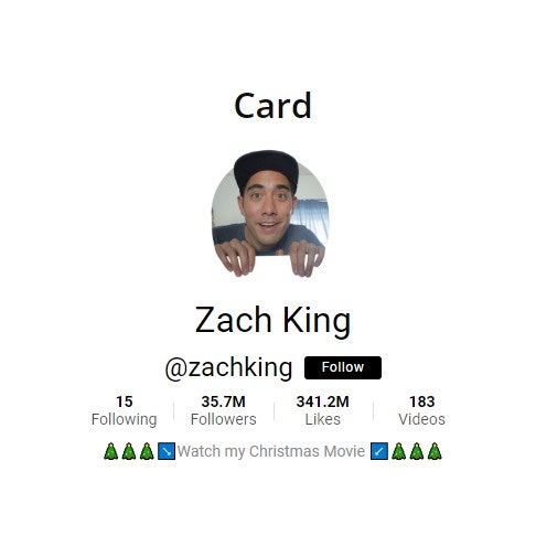 TikTok Feed - WordPress Plugin gallery image
