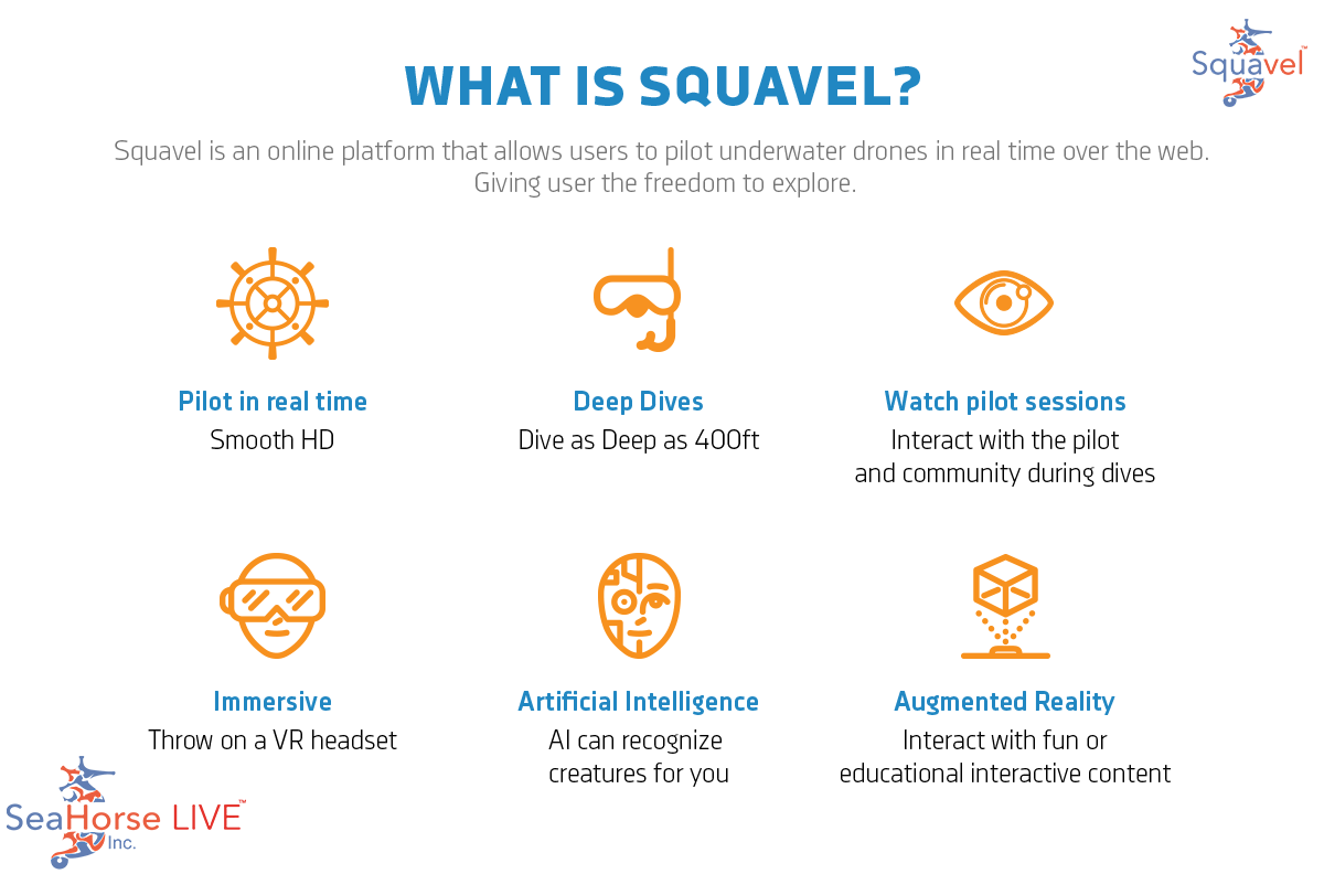 Squavel gallery image