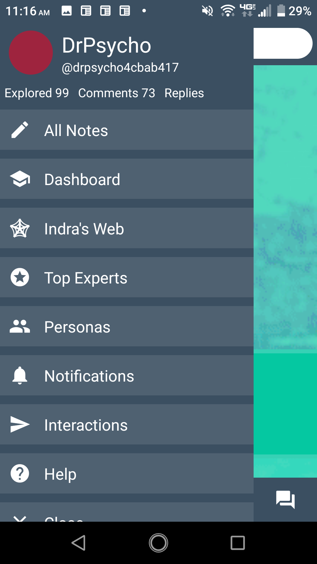 Indra Web Overlay gallery image