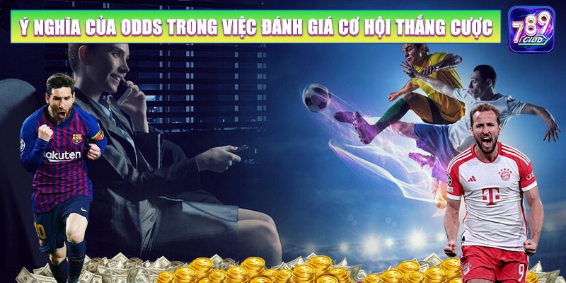 Odds cao trong cá cược