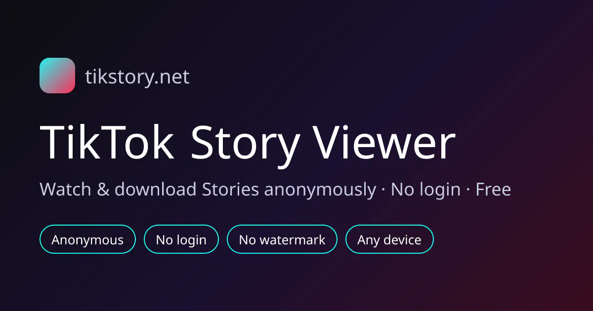 TikTok Story Viewer gallery image