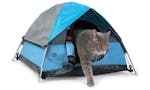 Cat Camp image