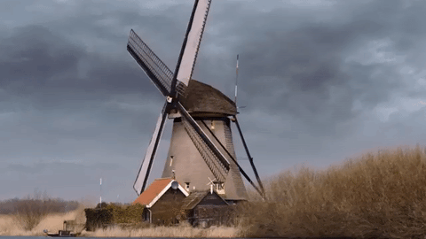 Google Wind Image