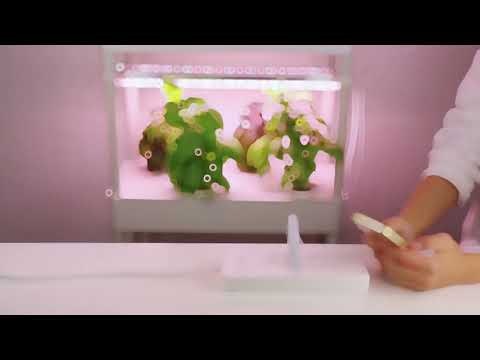 Elfsys Grow Kit gallery image