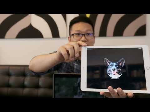 BarkMode gallery image