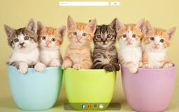 Cute Kitties New Tab Chrome Extension media 1