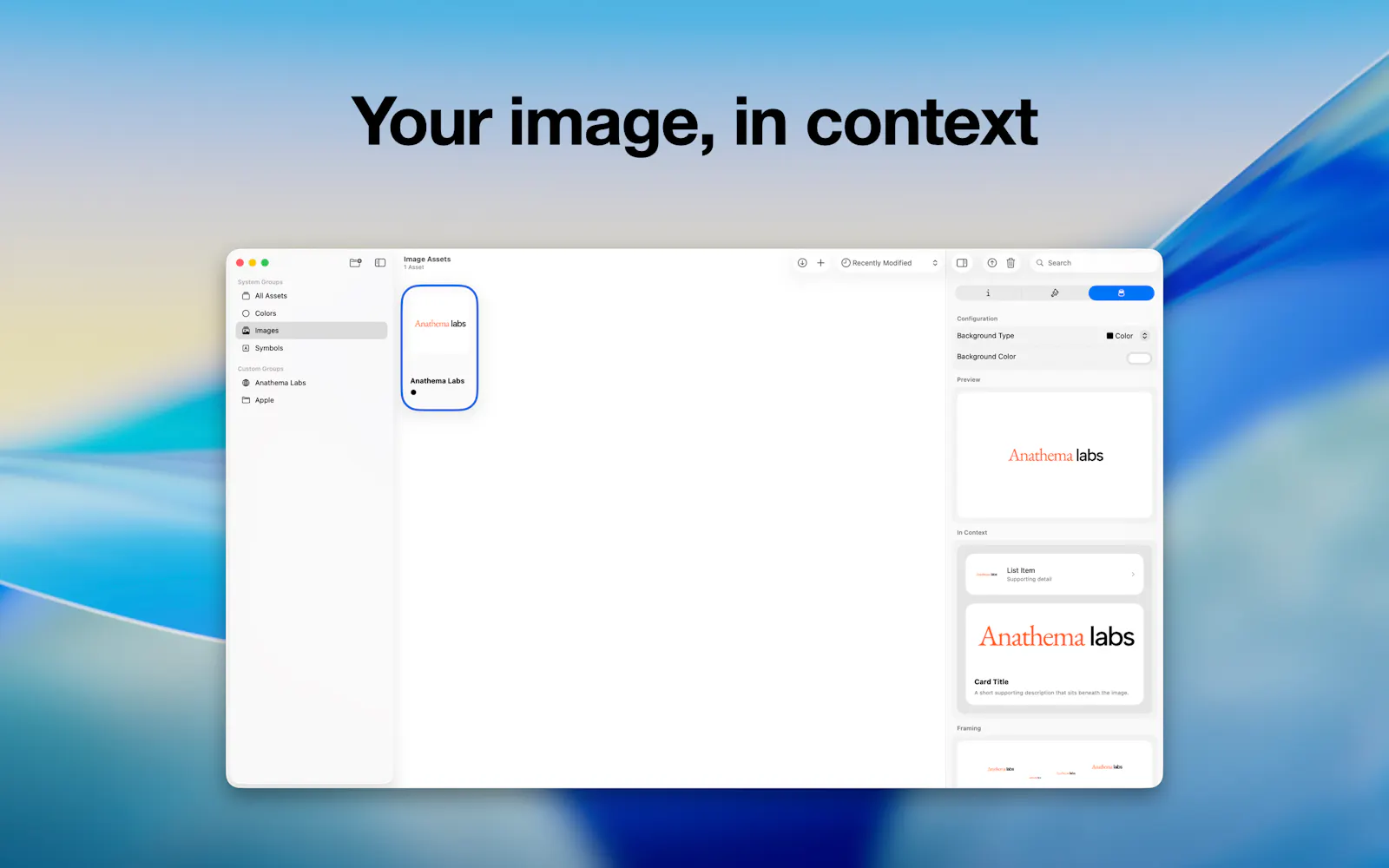 Resors screenshot 7