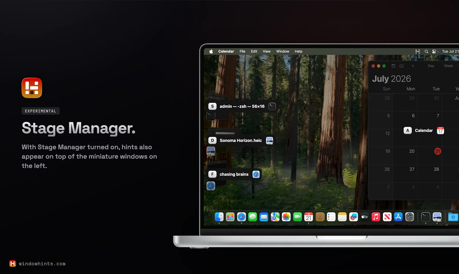 Window Hints screenshot 5