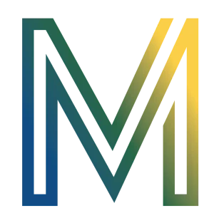 MedSeg logo